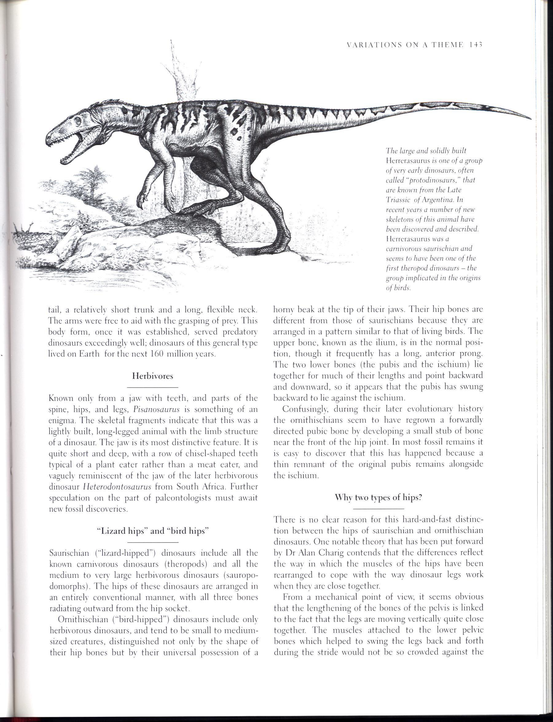 PREHISTORIC LIFE: the rise of the vertebrates. macm8538k